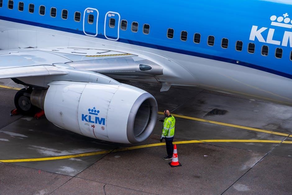 KLM-vliegtuig moet terugkeren naar Schiphol na botsing met reiger