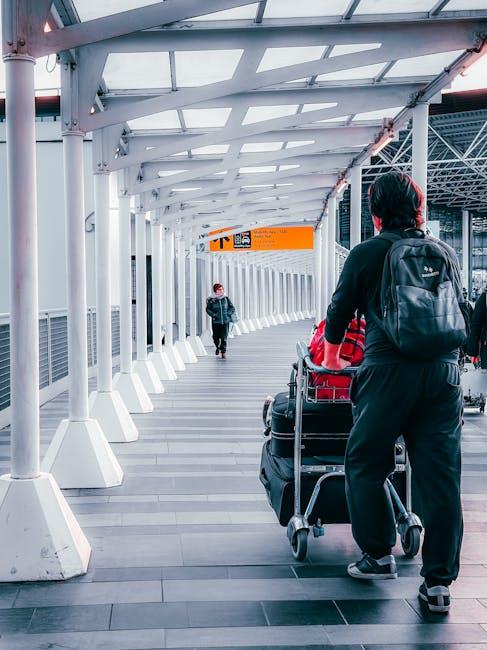 Handbagage als verdienmodel: 42% van maatschappijen rekent extra kosten
