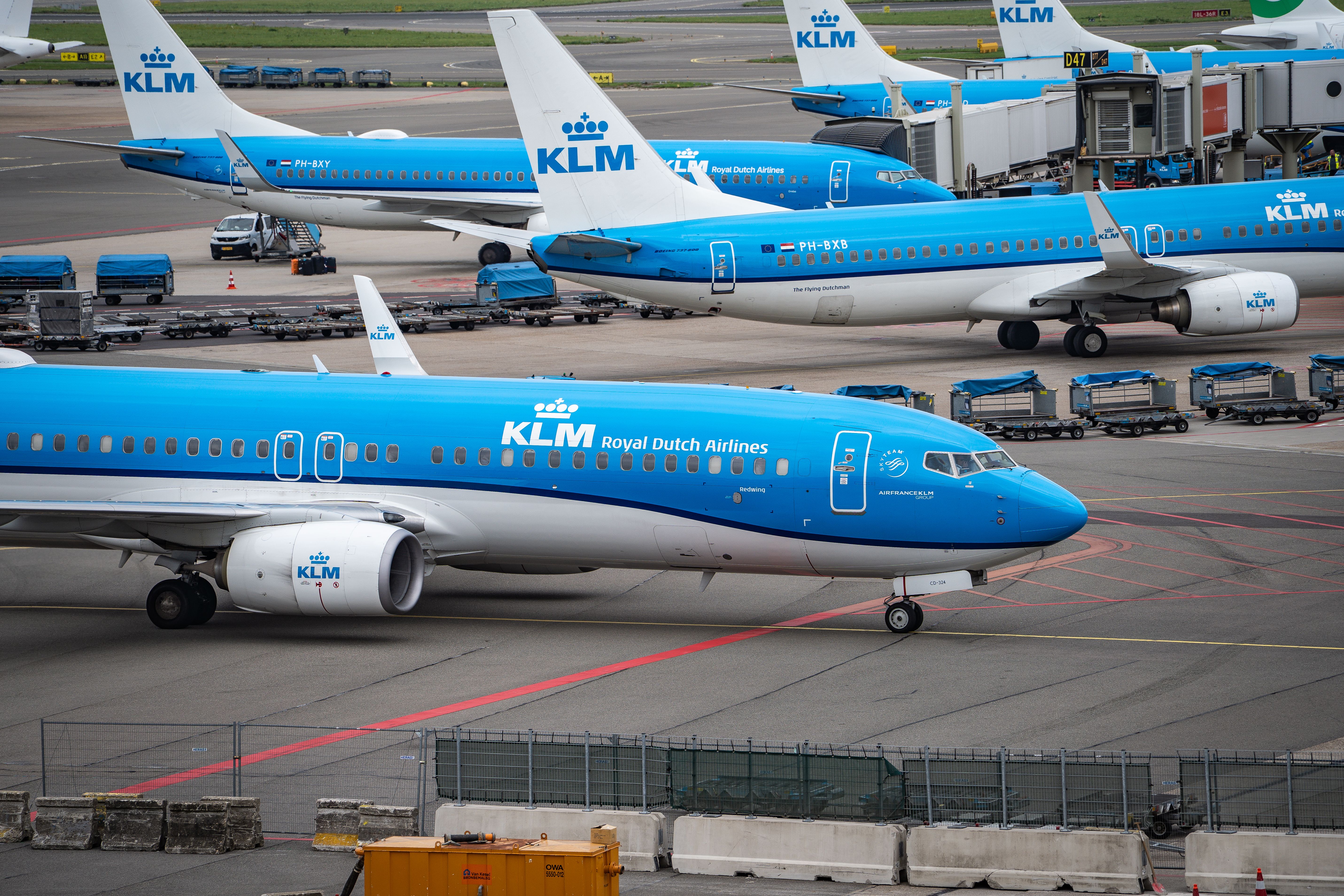 Meerdere KLM-toestellen geparkeerd op het platform van Schiphol